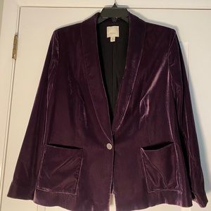 Velvet plum jacket